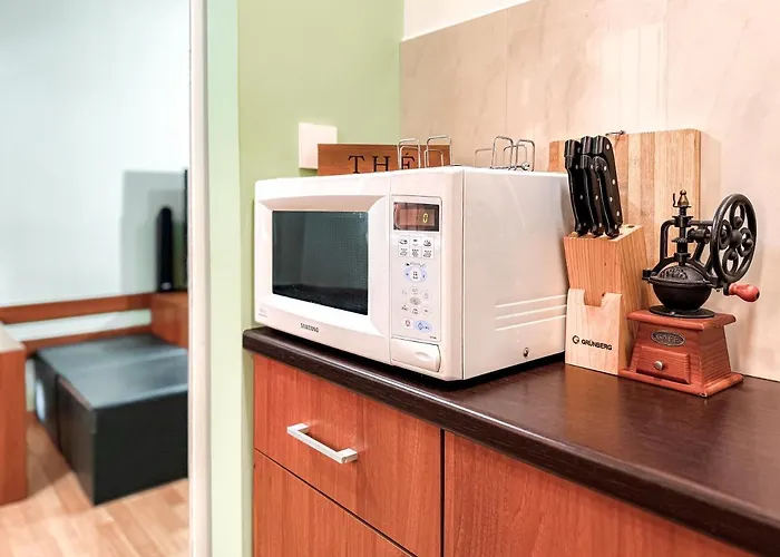 Tania's 1 Timişoara